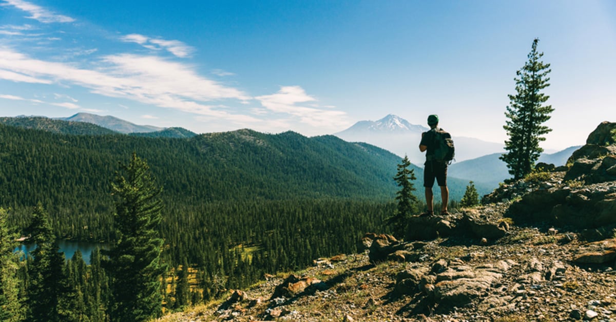Shasta-Trinity National Forest